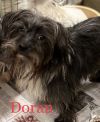 Doran photo 2