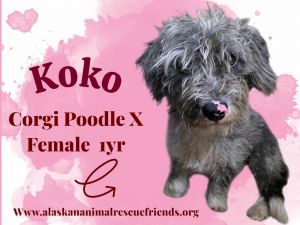 Koko