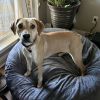 Mabel photo 1