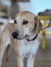 Mabel photo 3
