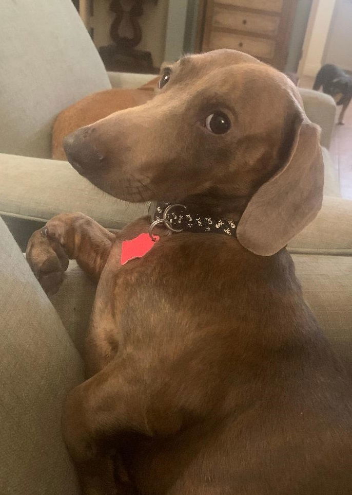 Bosley