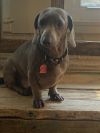 Bosley photo 2
