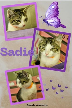 Sadie