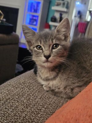 Finnley, Baby Female unknown