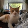 Felix photo 1