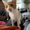 Felix photo 2