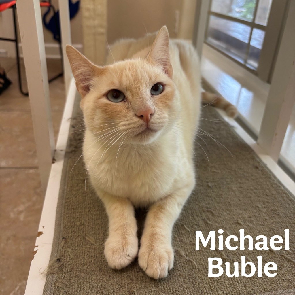 Michael Buble