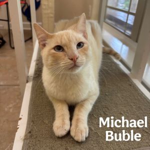 Michael Buble, Young Male unknown