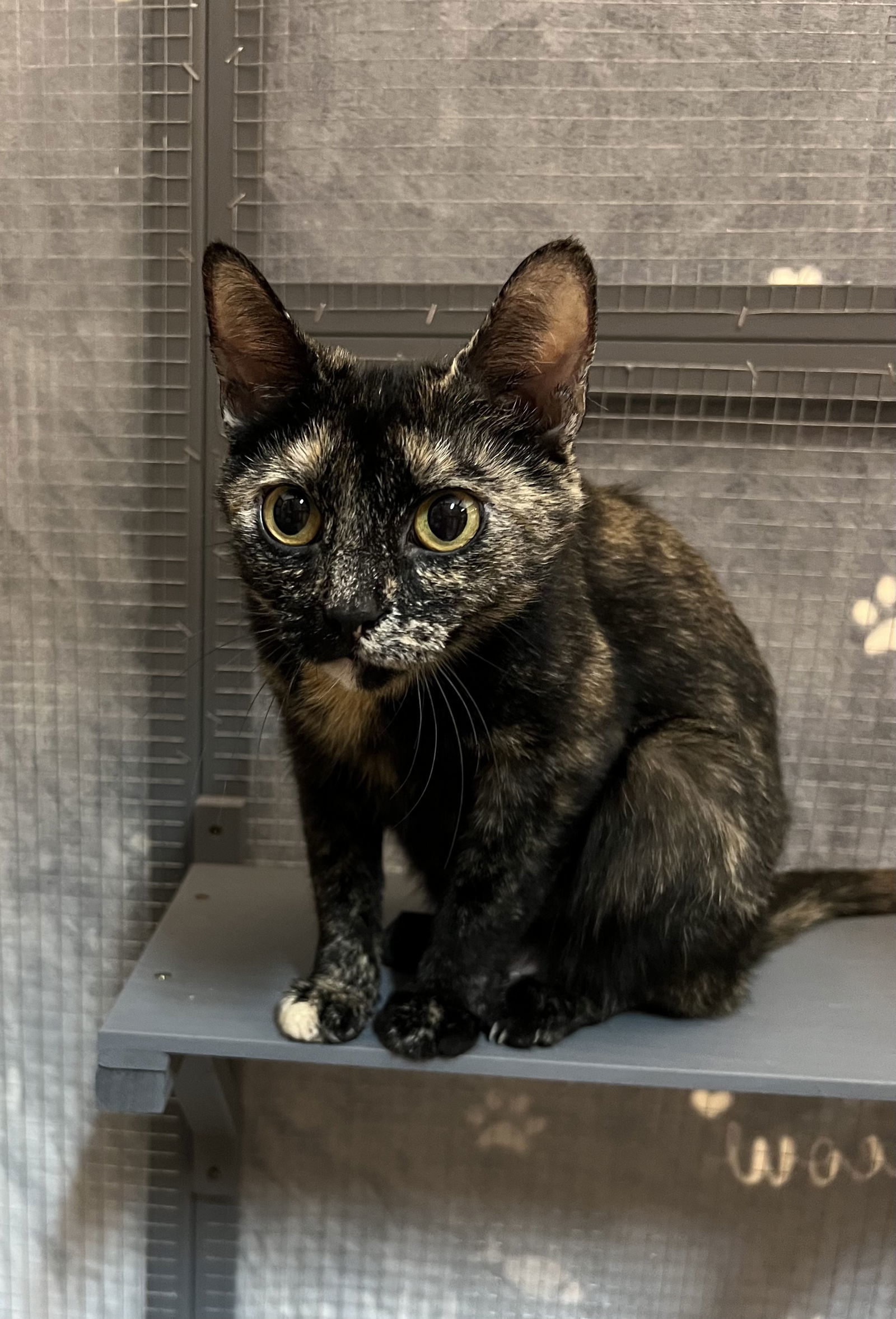 Luna