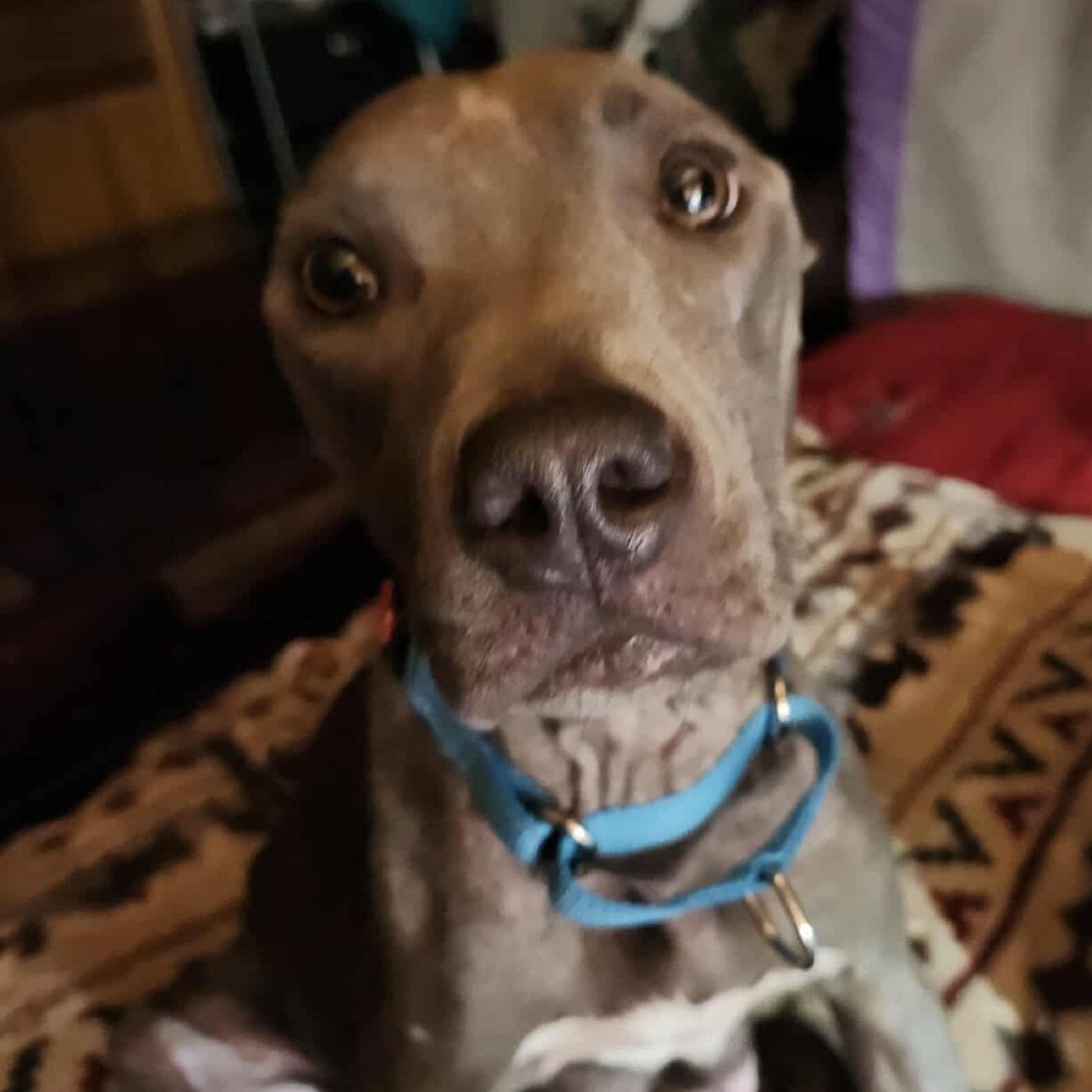 Mama Singer A459509