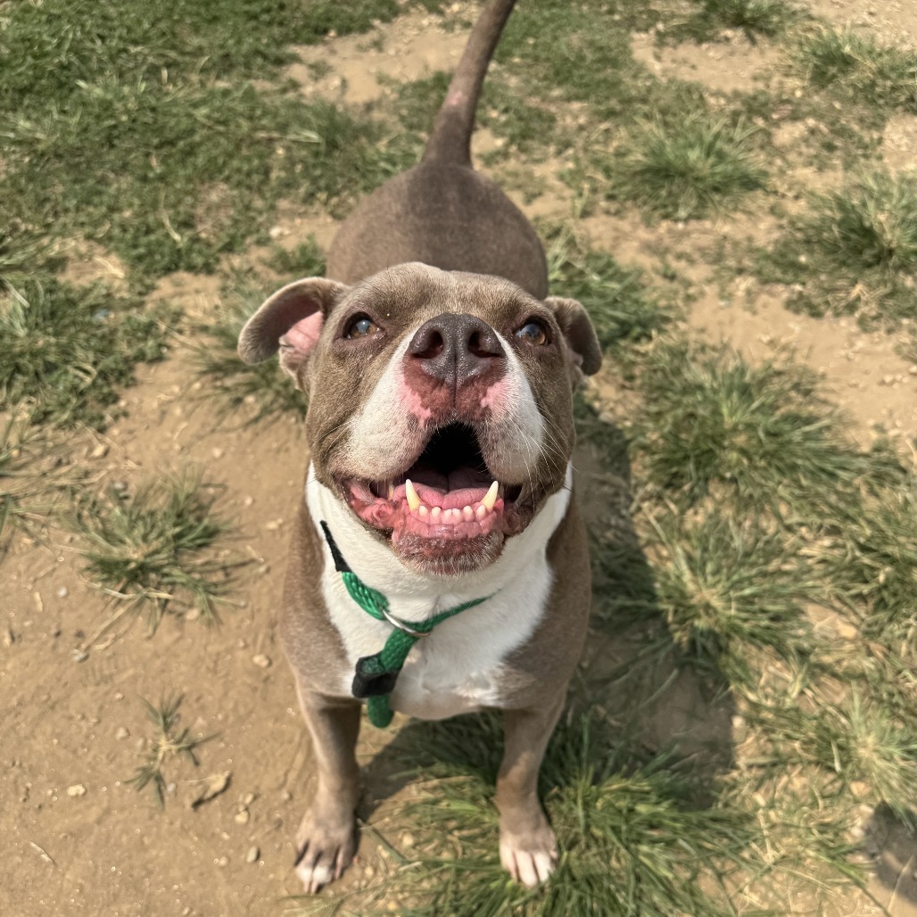 Jax