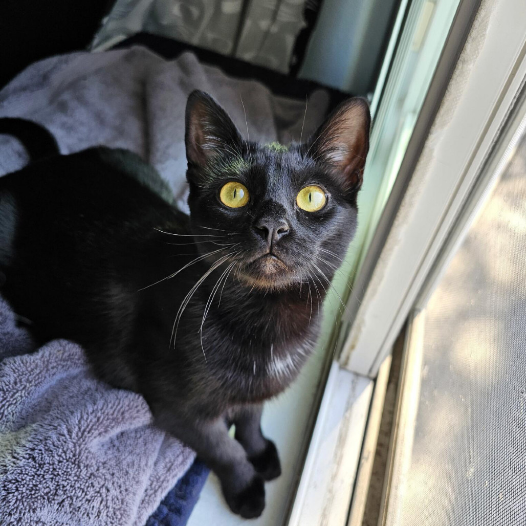 Luna