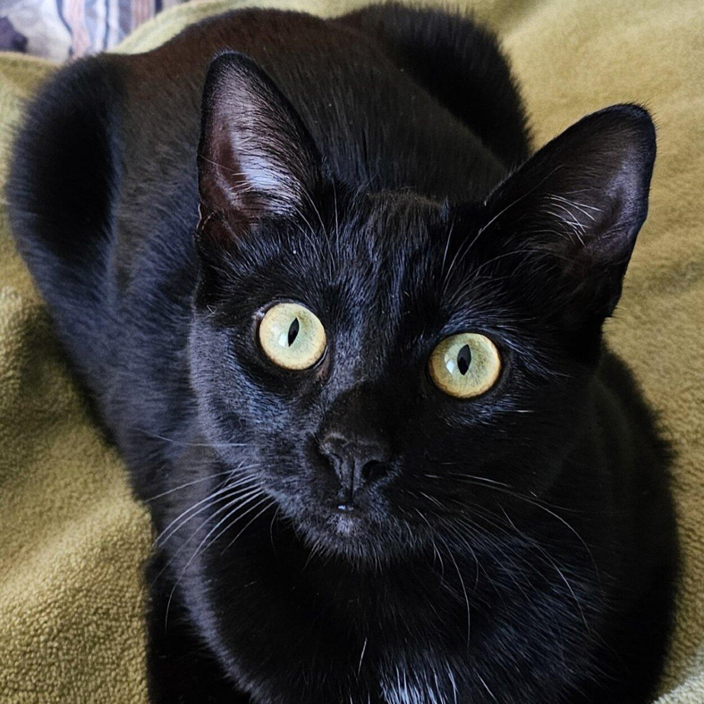 Luna