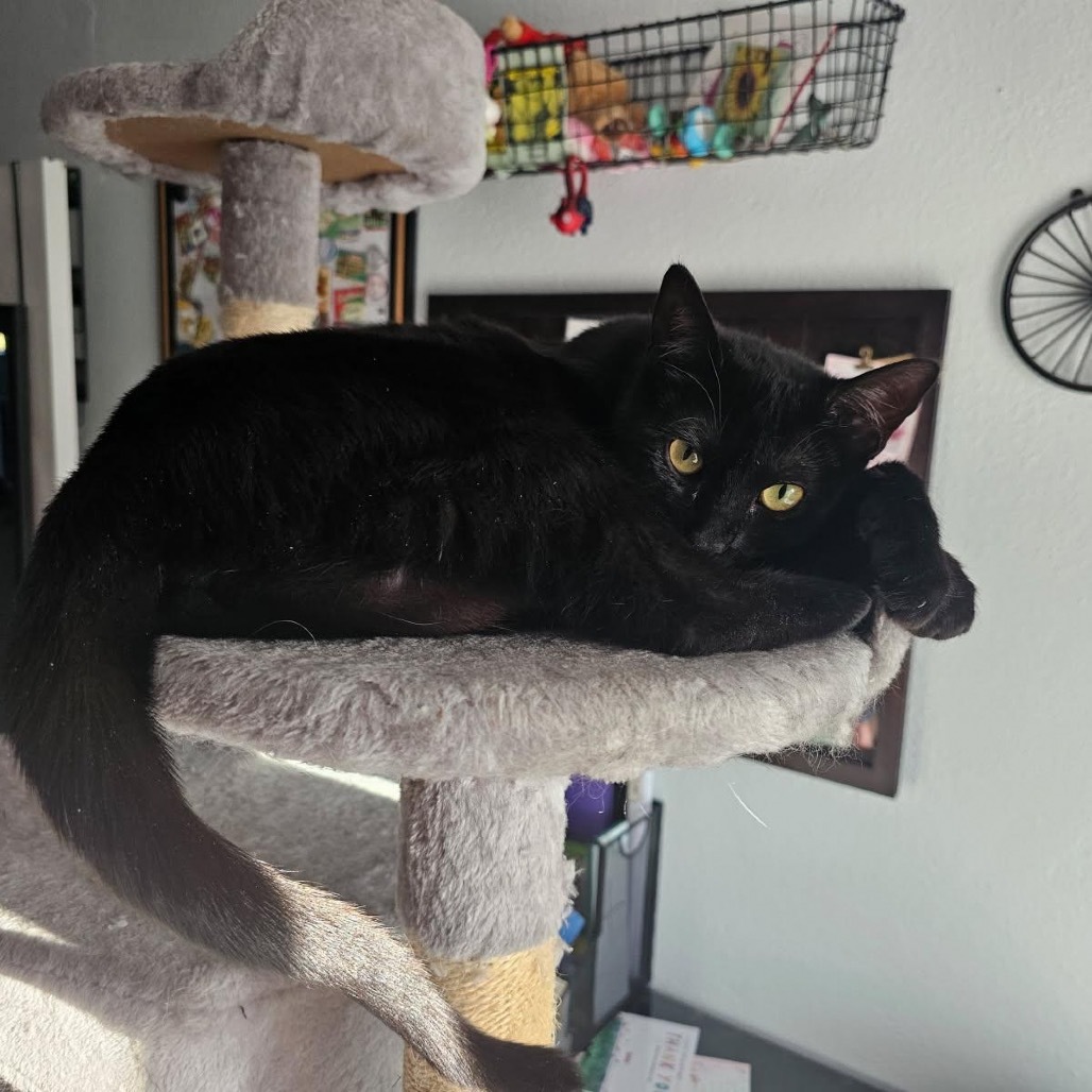 Luna