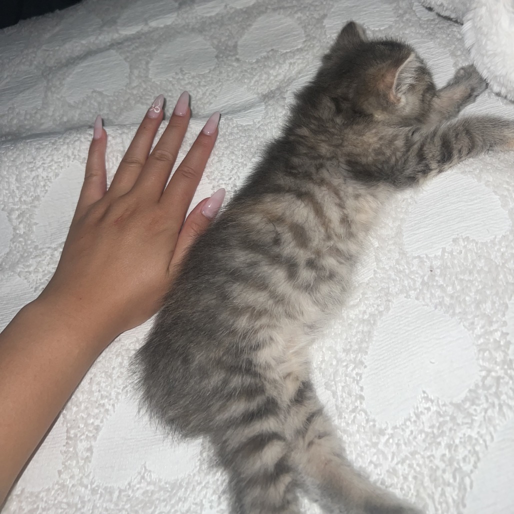 Stormie