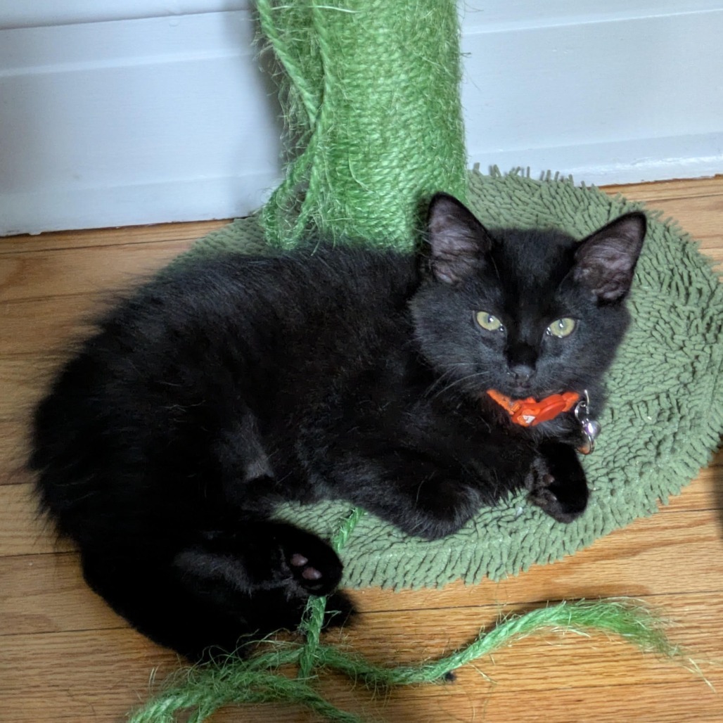 Floof