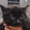 Floof photo 2