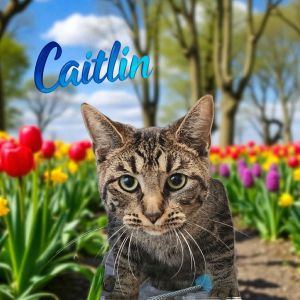 Caitlin, Adult Female unknown