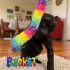 Bucket photo 1