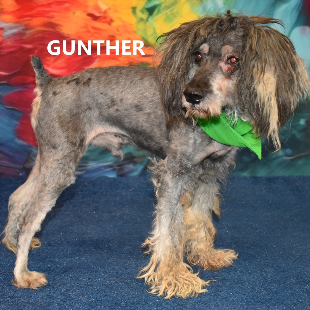 Gunther