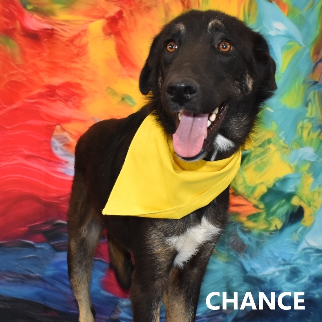 Chance