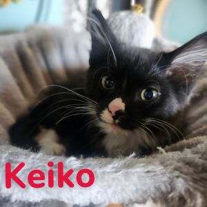 Keiko, Baby Male unknown