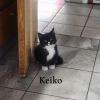 Keiko photo 3
