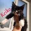 Keiko photo 4