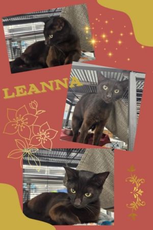 Leanna
