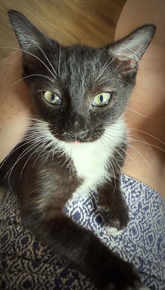 Tux