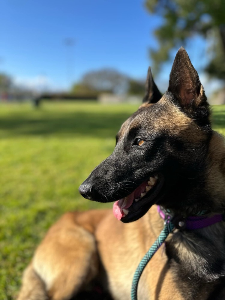 Vin located in CA