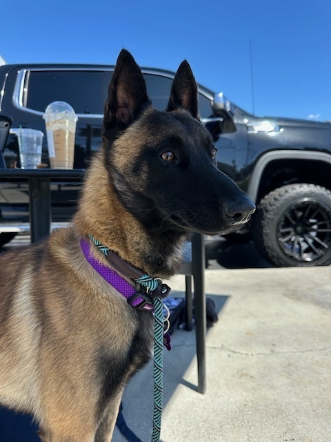 Vin located in CA