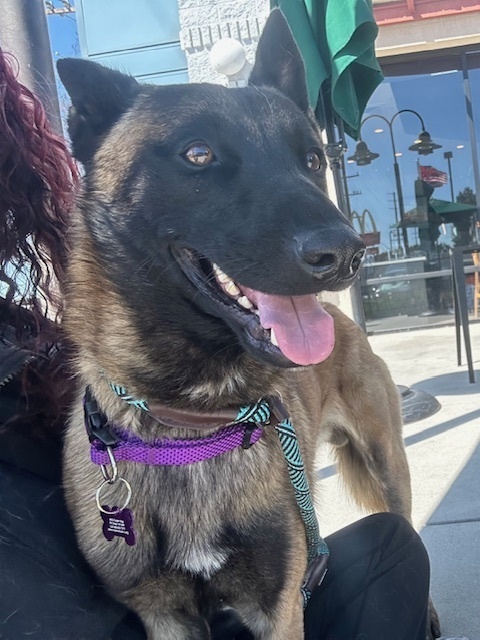Vin located in CA