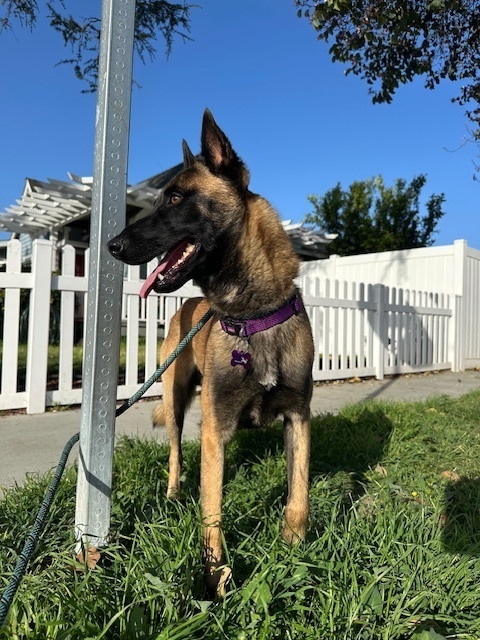 Vin located in CA