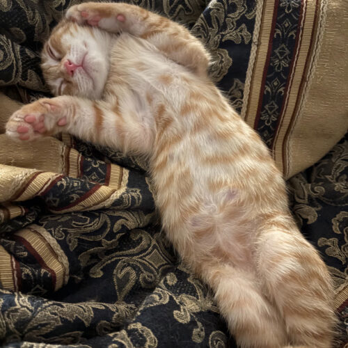 Duncan