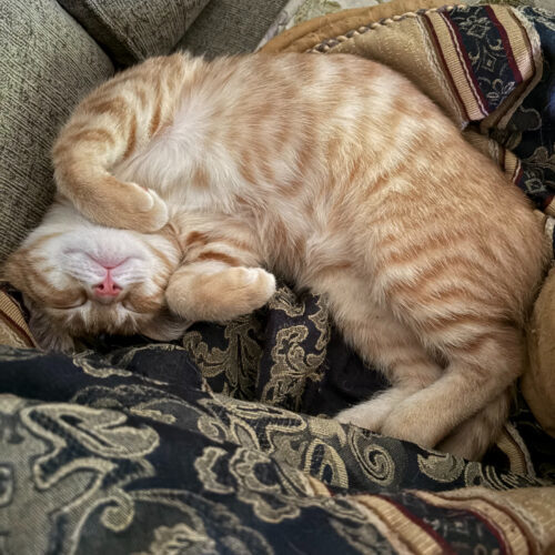 Duncan
