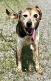 Waylon (courtesy post) photo 3