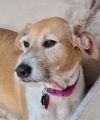 Daisy photo 2
