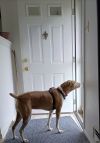Daisy photo 3