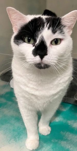 Ramona 3 years