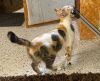 MITZY photo 2