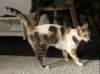 MITZY photo 3