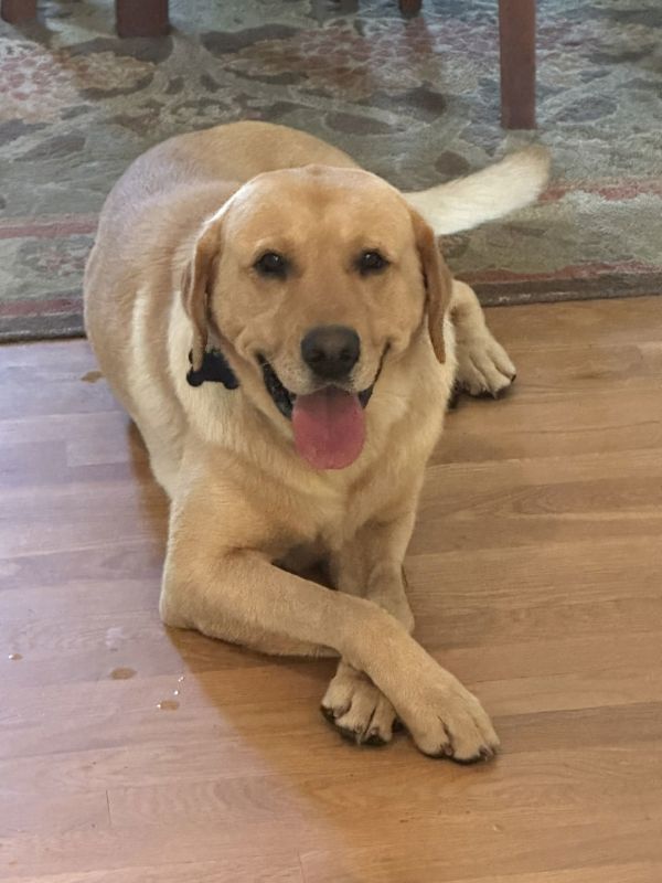 Riley