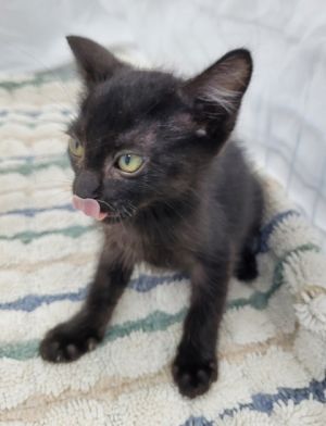 58937204, Baby Male unknown