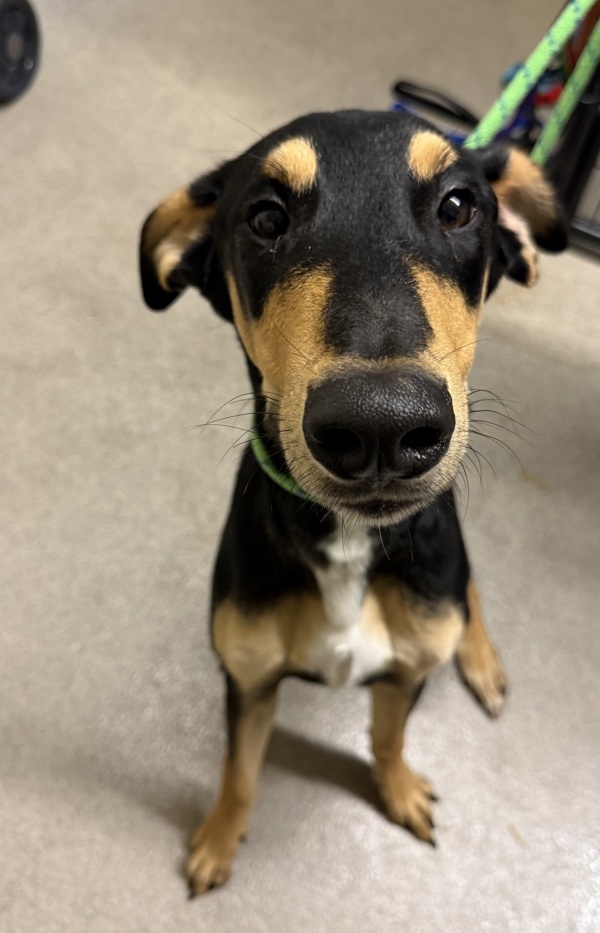 Benny