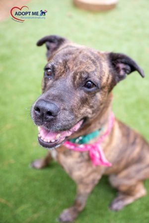 Zoey, Senior Female unknown
