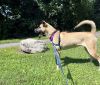 Bailey photo 2