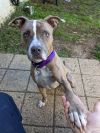 Molly photo 2