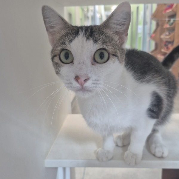 Delilah