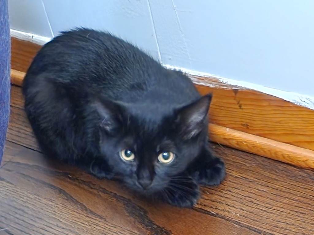 Onyx